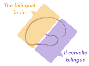 Bilingualism project